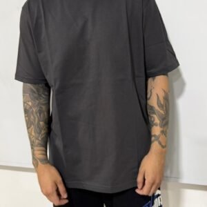 Remera classic lisa gris bizon